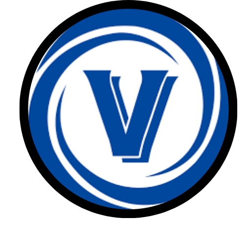 VITOUR TIRES